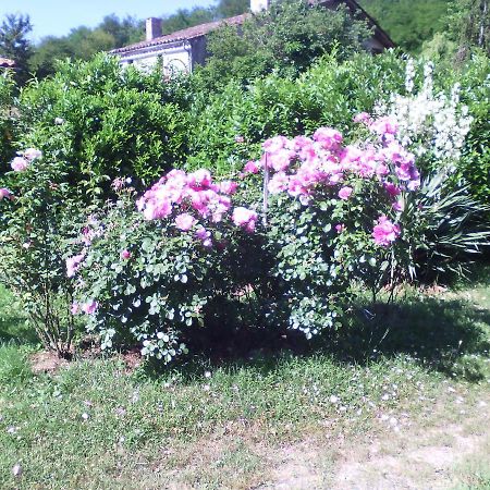 l'Ancien Patronage Hostal Caumont-sur-Garonne Exterior foto