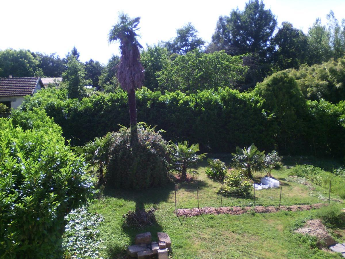 l'Ancien Patronage Hostal Caumont-sur-Garonne Exterior foto